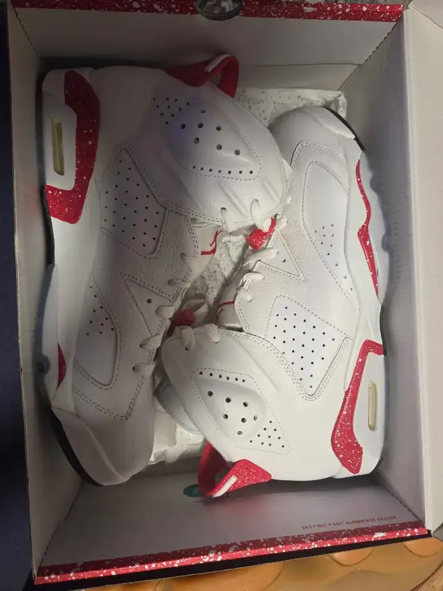 Air Jordan 6 retro size 10.5 in Men's Shoes in Markham / York Region - Image 3