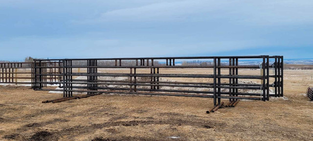 Freestanding panels in Livestock in Regina