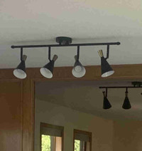 Black/Gold Track Lighting Strathcona County Edmonton Area Preview