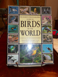 Guide on Birds