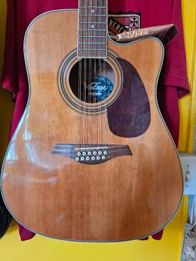 Twelve string