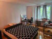 1 Bedroom Furnished June/July/August - McGill/Guy-Concordia