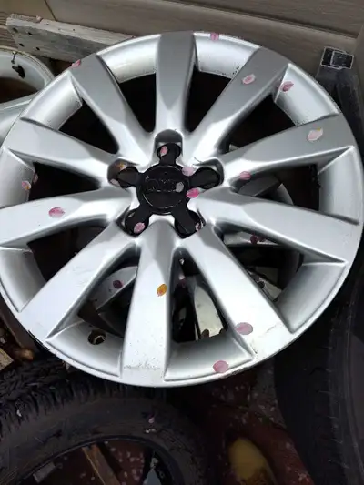 Peut faire sur différents modèle de Audi et de Volkswagen.