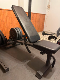 Synergee Adjustable Incline Bench