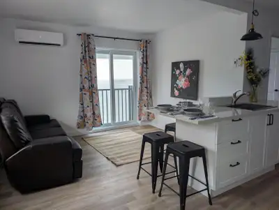 Beau 3½ rénové au rez-de-chaussée, aucun escalier, situé au 469 rue de l'Accueil, Chesterville (Québ...