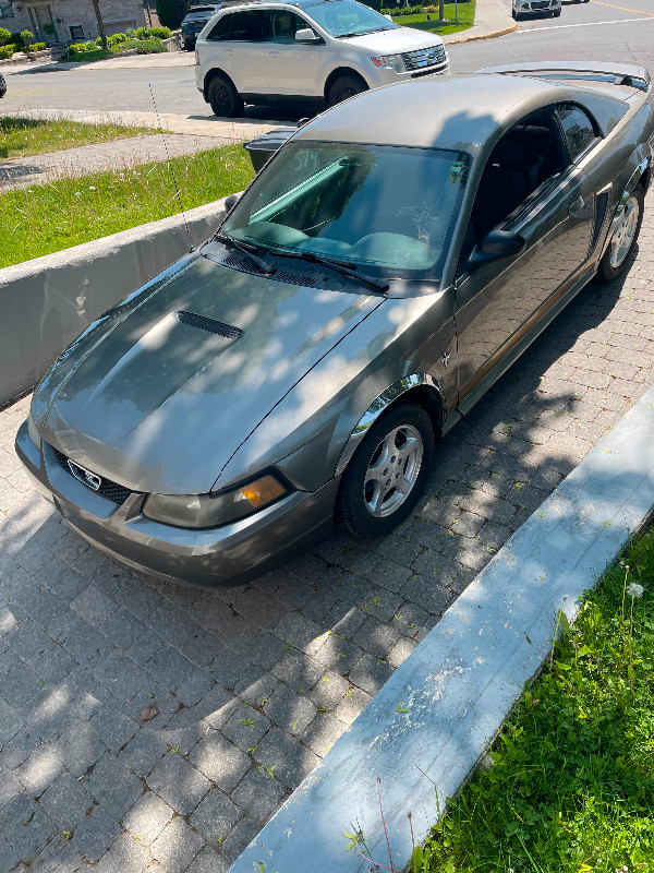 2002 Ford Mustang dans Voitures d'époque  à Ville de Montréal - Image 4