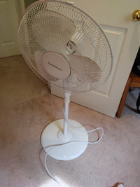 Oscillating Fan