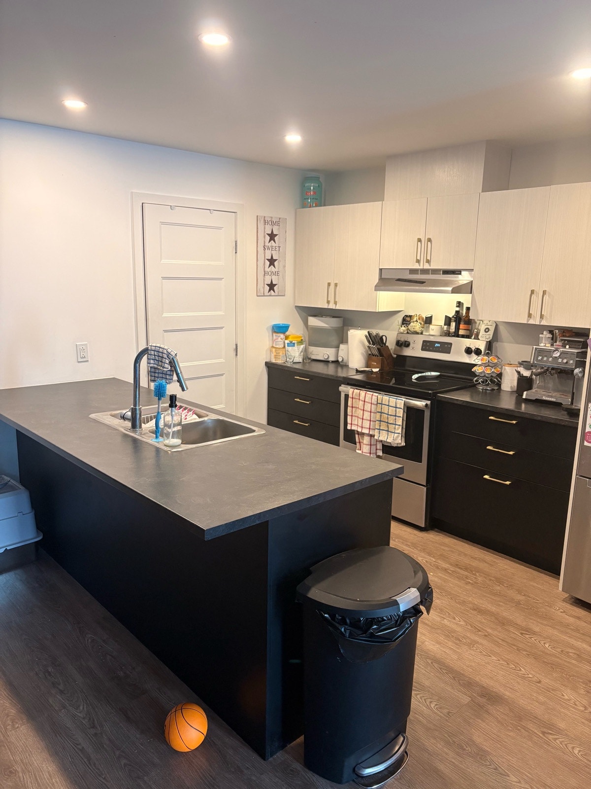 Appartement 5-1/2 Saint-Rémi RDC 1815$ chien — photo 1