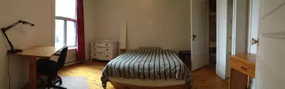 Grande chambre dans grande apt.  Large room in large apt.