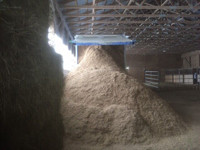SAWDUST FOR SALE