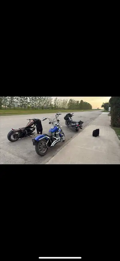 Looking for a frame for a soft tail build let me know what ya got