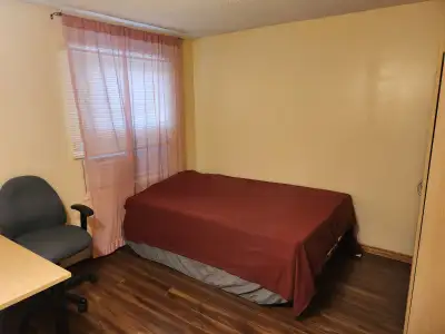 ⚡️⚡️⚡️ 40/night Room for rent near ION