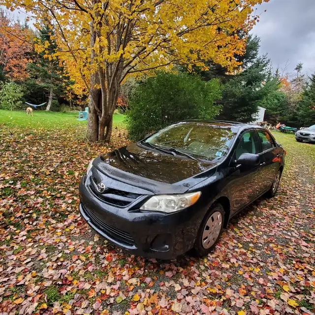 Beautiful 2013 Toyota Corolla 