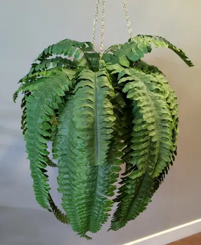 ARTIFICIAL BOSTON FERN HOUSE PLANT, View more