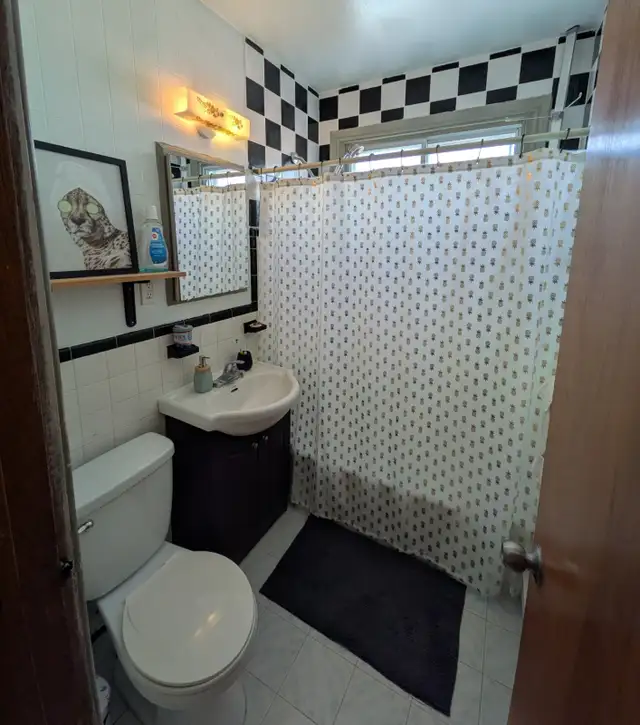 Photo 5