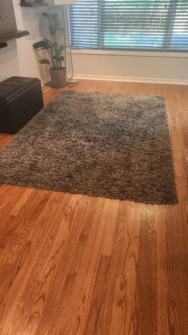 Large IKEA Rug in Rugs, Carpets & Runners in Ottawa - Image 3