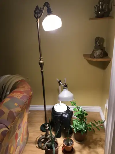 Antique lamp, View more