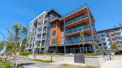 $2,500 / 1br - Brand New 1BR/1BA for Rent at Lupine Walk