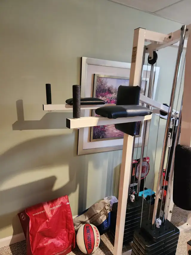 Weider Pro 9635 3-station home gym with attachments63013092585475122