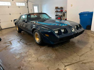 1981 Pontiac Trans Am 4.9 TURBO