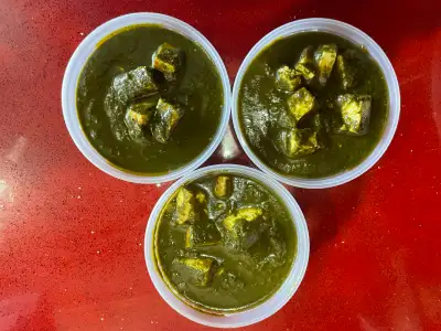 PUNJABI TIFFIN & SATVIK FOOD, View more