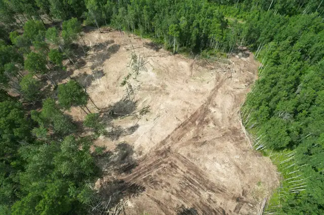 Mulching & Land Clearing62864743044611121