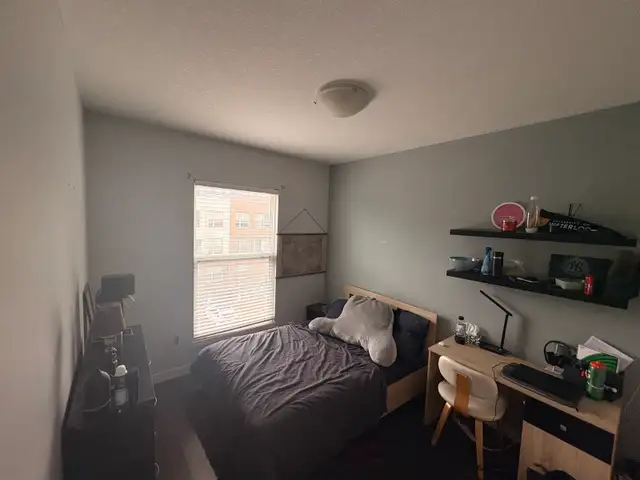 Student rental Laurier/ Waterloo/ University/ Conestoga College in Long Term Rentals in Kitchener / Waterloo - Image 5