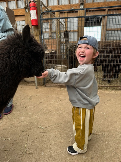 Create wonderful memories, come visit our alpacas., View more