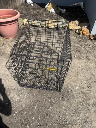 Large dog crate. My leg for scale. I’m only 5’2” , but gives an idea. Cheap and in good shape for wh...