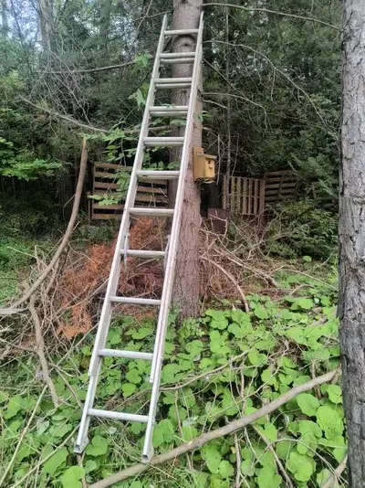 Reynolds 20 ft Aluminum Extension Ladder, View more