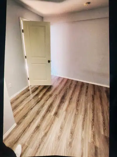 basment room for rent