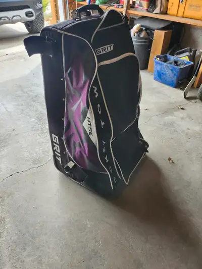Bag is in great condition no issues. Great for the younger player.