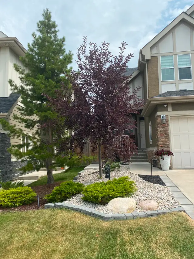 Yard Looking Rough? We Design & Transform Outdoor Spaces.62863253080577123