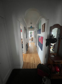 Apartment for rent/sublet  ( roommate situation )