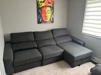 Sectional pullout couch, View more