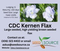 CDC Kernen Flax