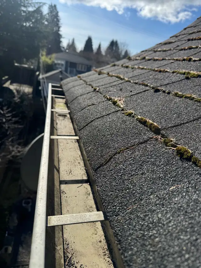 Landscaping569705128369203205