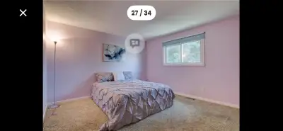 Staging overstock- queen bedding sheet 8 piece, View more