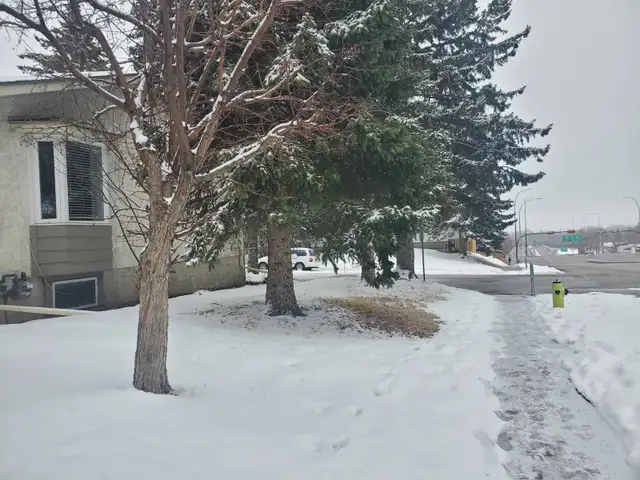 House for rent