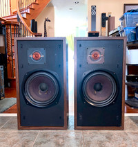 Awesome 70's Vintage Speakers, Freshly Serviced Large Advents