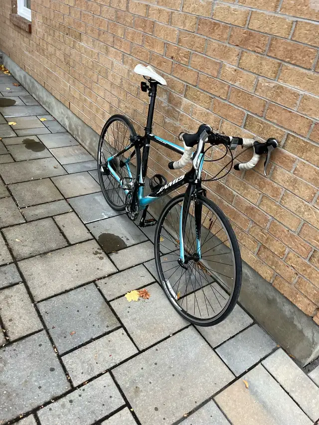 Jamis Xenith Endurance Roadbike in Road in Ottawa - Image 3