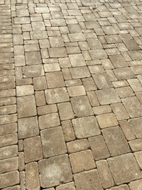 Set In Stone Paving Stone and Landscaping 