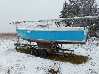 Needs a patch on the sail. Comes with the trailer and motor.