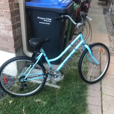 Ladies 26 inch Everyday Traveller comfort bike, View more