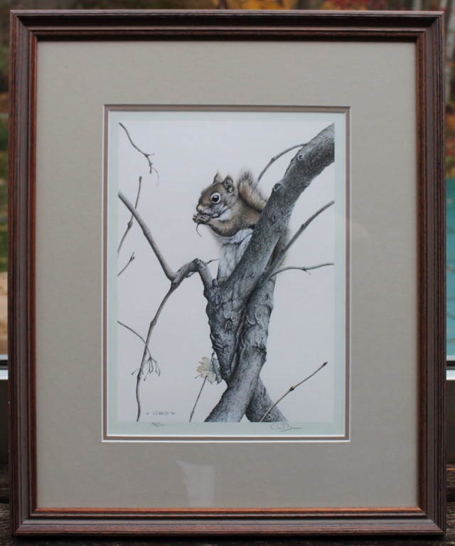 Red Squirrel by Chris Bacon acid free matting 1985 in Arts & Collectibles in St. Catharines