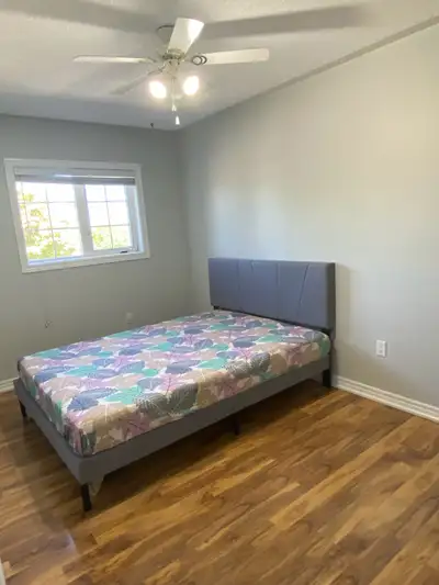 Room in house