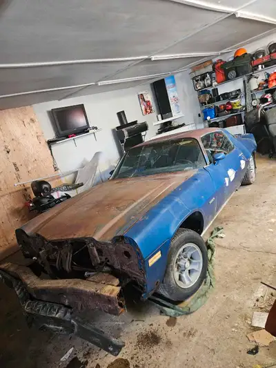 Selling my 1981 Camaro LT for parts. Too far gone underneath but many good rare useful parts. No eng...
