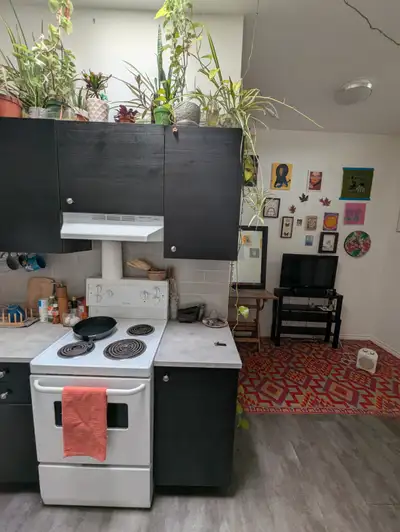 1 Bd Apt Available for Sublet - Short & Long Term