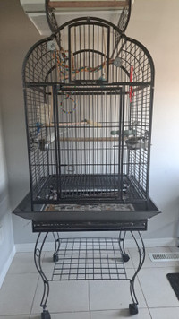 Wrought Iron Large Parrot Bird Cage + accessories
