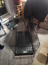 Dog cage medium/large 